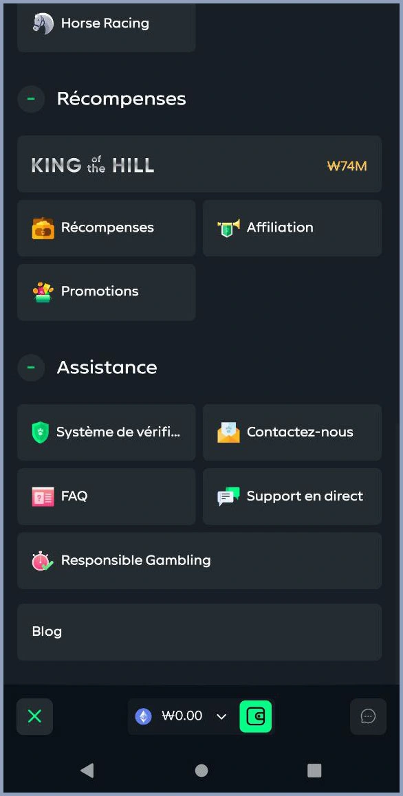 Options de contact et assistance client Gamdom